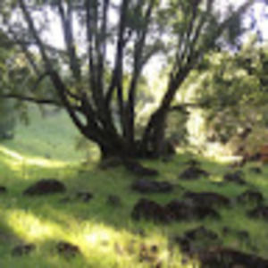 Meet your Posher, Hunter